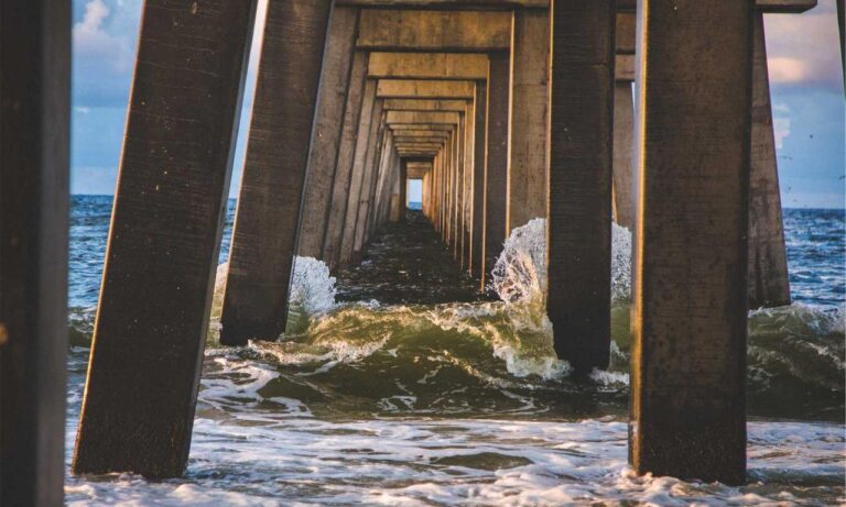 8tshare6a software download