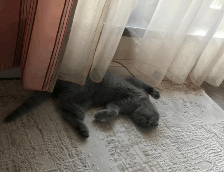 dowsstrike2045 python