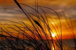 fhthopefood baking recipes by fromhungertohope