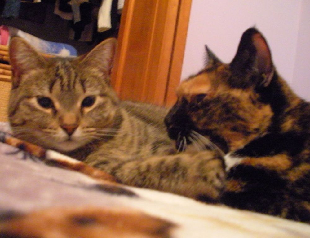 how to visit yukevalo island