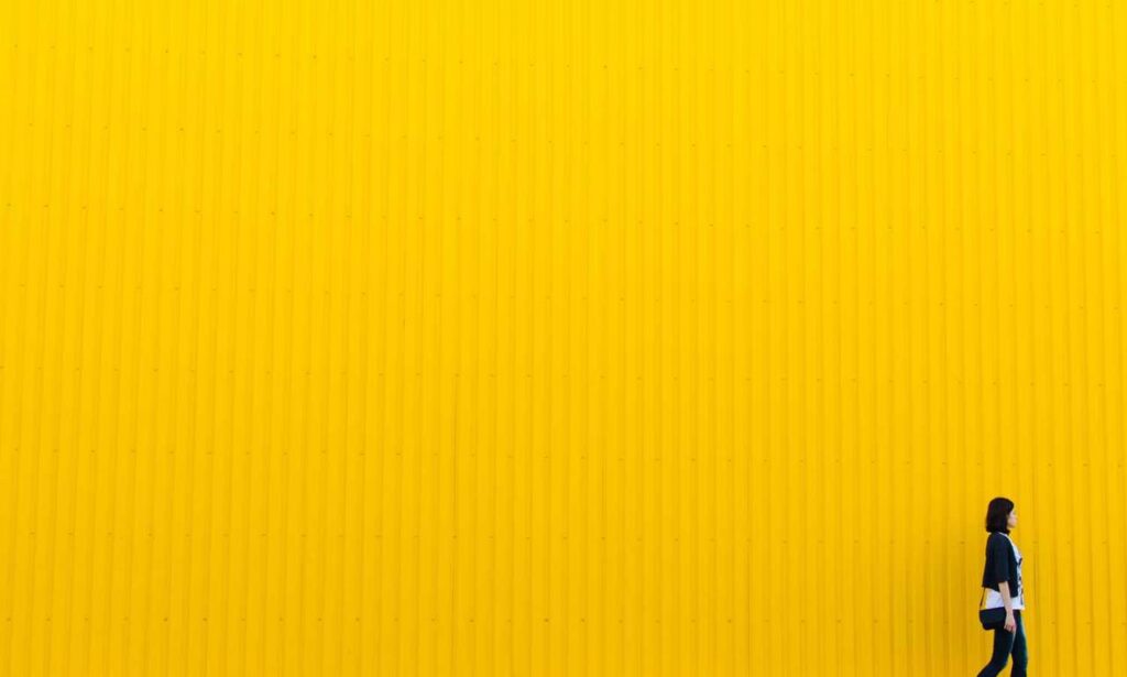 where is wacozumi sold