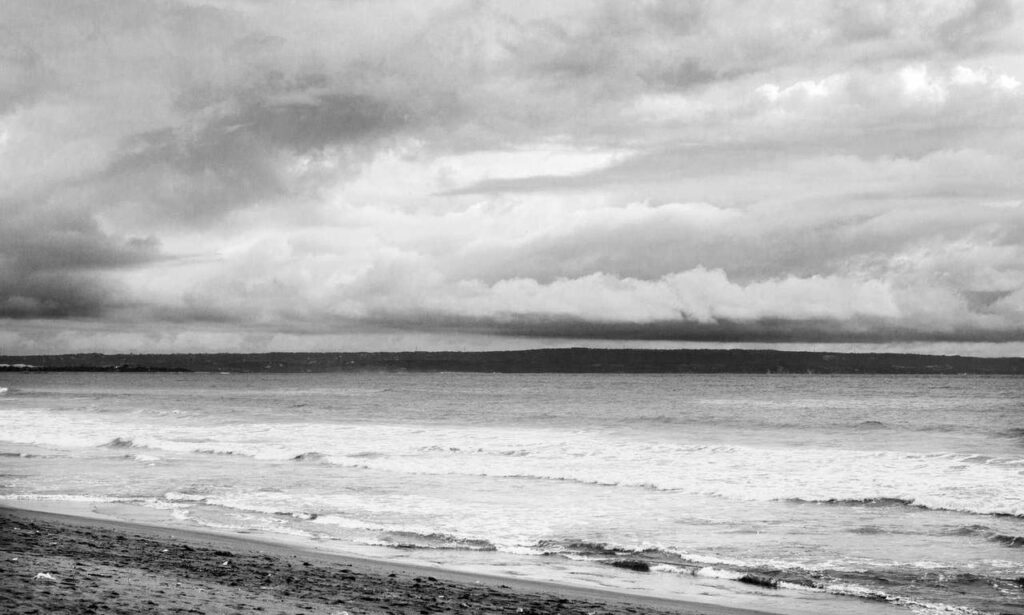 william sonoma gift card check balance