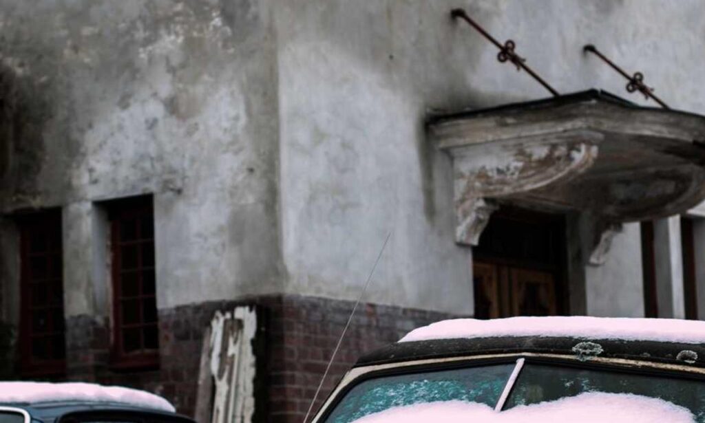 winqizmorzqux product