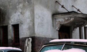 winqizmorzqux product