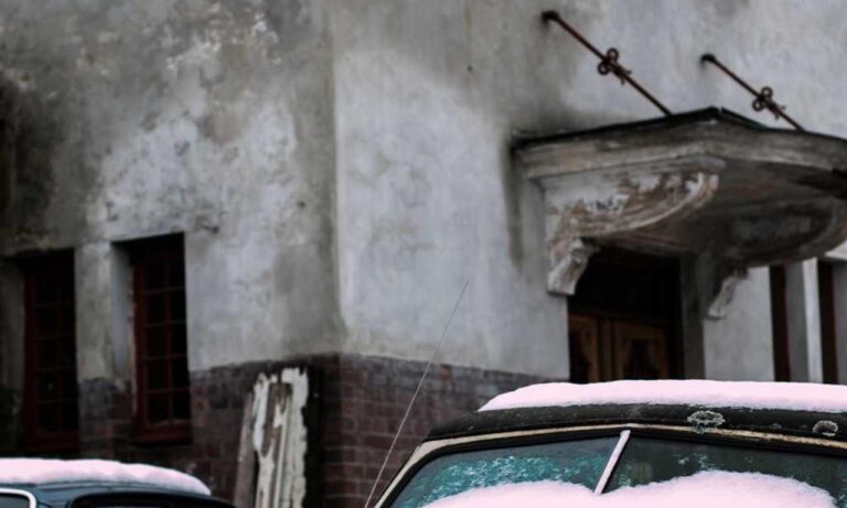 winqizmorzqux product