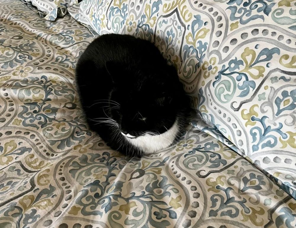 witch hazel on face side effects