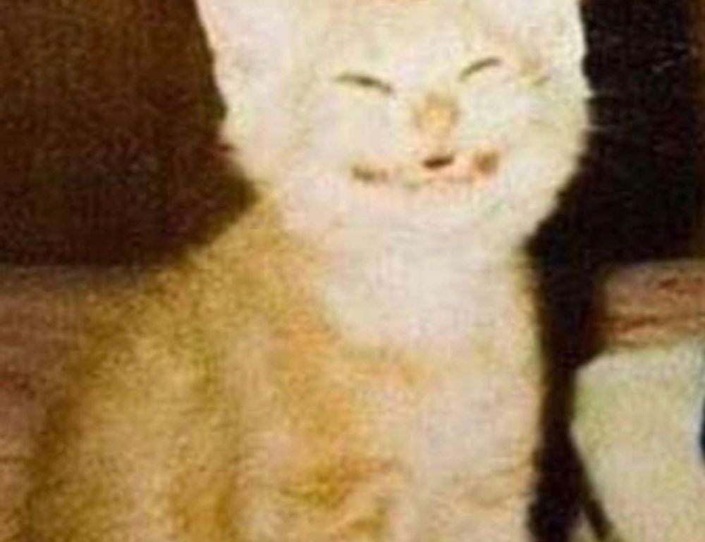 customunitsbymakeupd0ll.com nummazaki employs