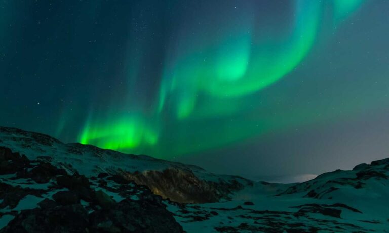 nummazaki pharmaceuticals moss serum dershortpon