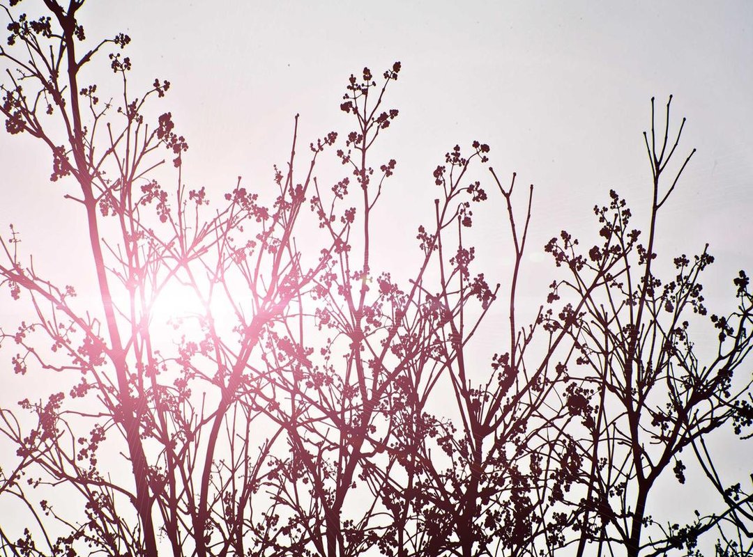 Actions to Take When You See 13:31