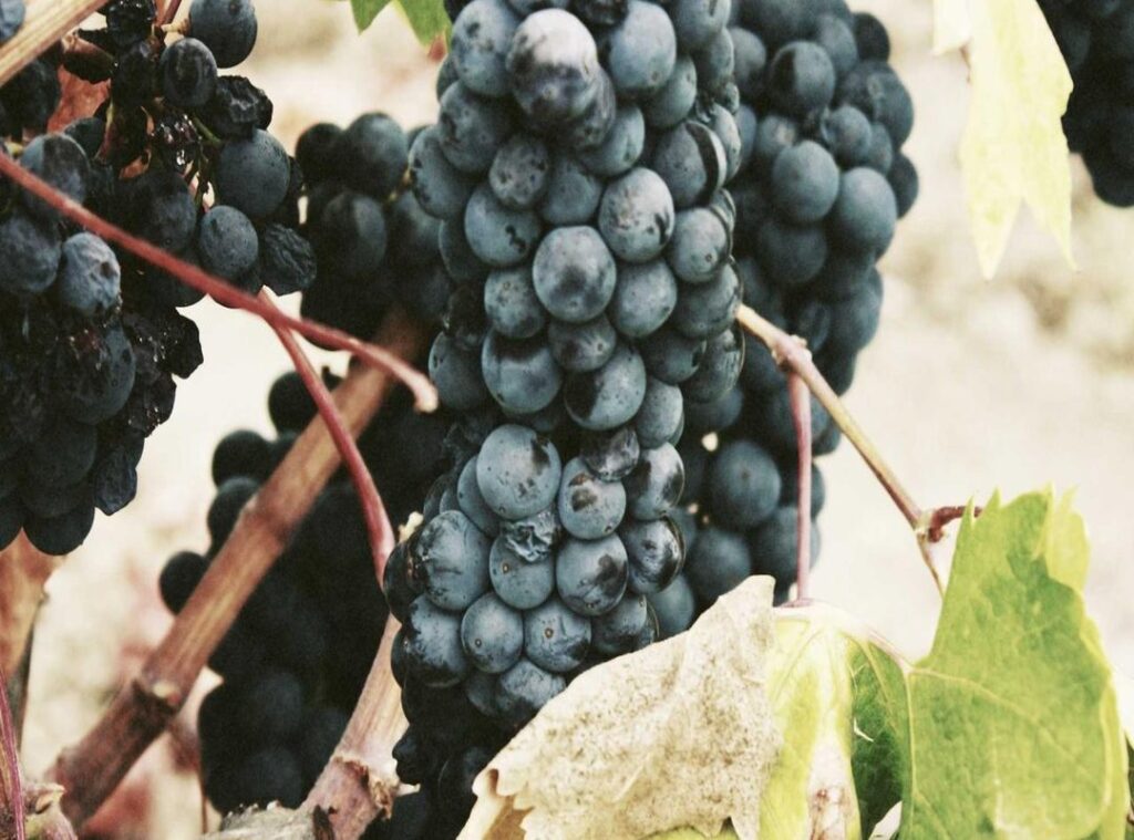 coin master 400 spin link 800 spin link - is it possible