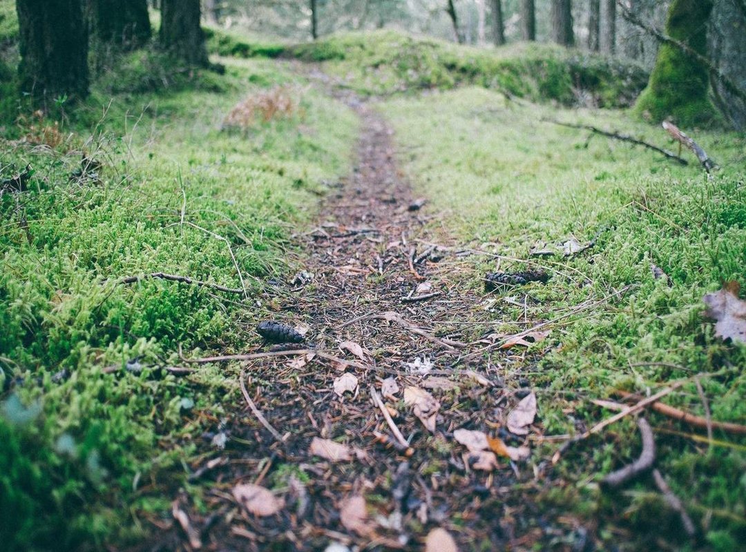 Operating Hours: When to Visit for the Best Experience