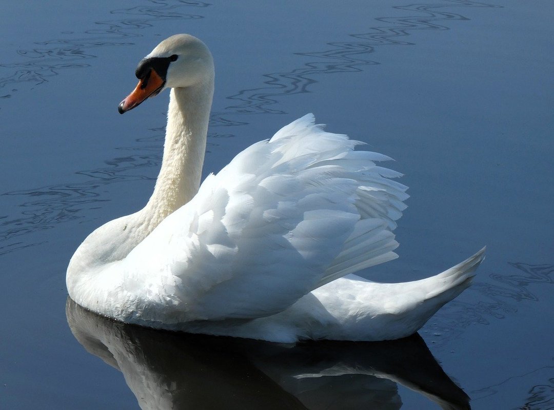 Upgrade Your Movie Nights, Ditch the Risk