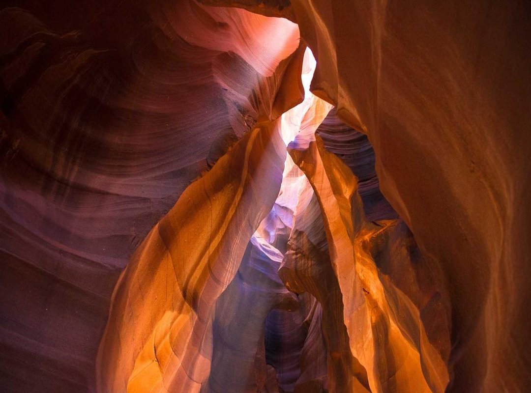 The Official Taste Test: Flavor, Texture, and Kid Approval