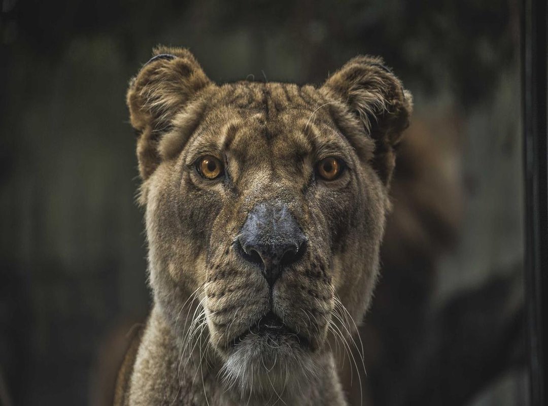 Getting Started: Registration and First Steps