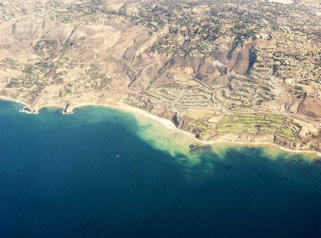 Beyond the Dramas: Song Kang's Variety Show Appearances