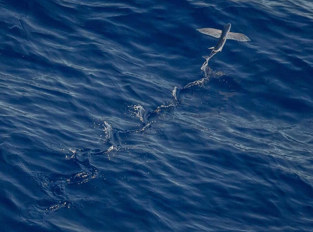 Top Picks: Best Trade ProAir 360 Models