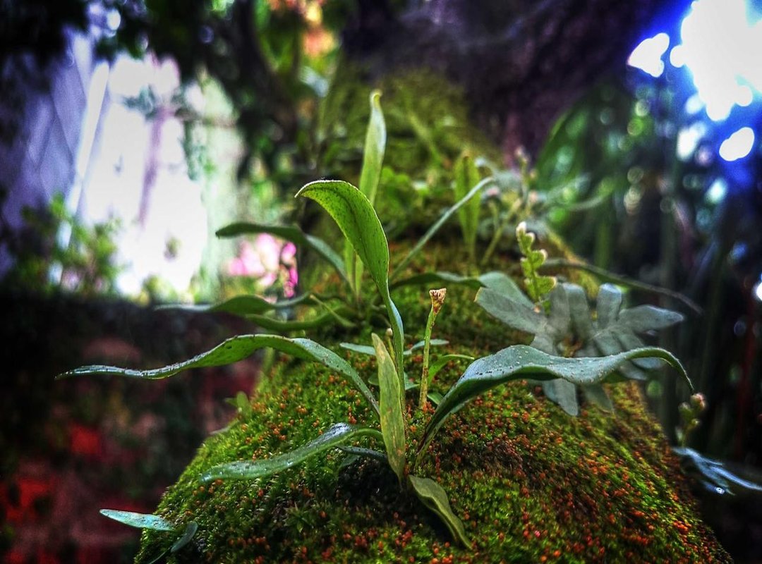 Your Immediate 3-Step Action Plan (Before Contacting Support)