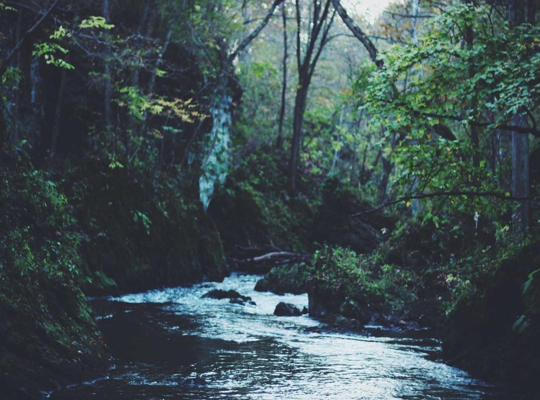 The Final Verdict: Is a Zoe Evans Subscription Right for You?