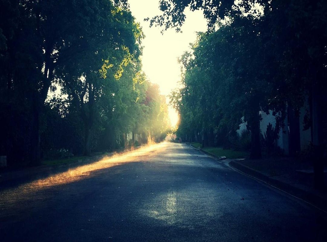 Avoiding Common Scams: What Sets This Platform Apart